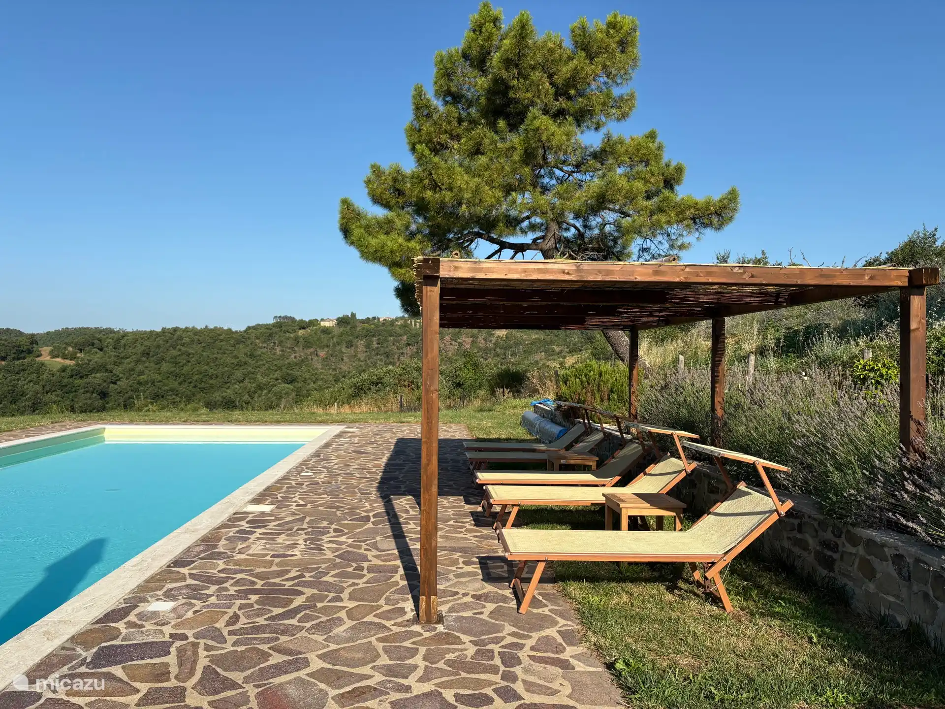 new pergola by the pool