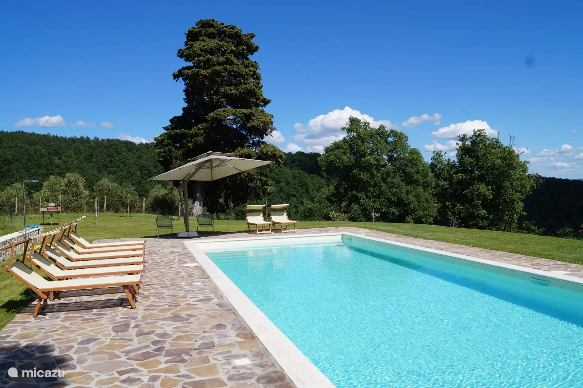 View of the pool from the west
