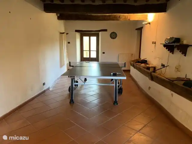 Ping pong room with former cattle troughs on the right (containing badminton sets and other ball games).