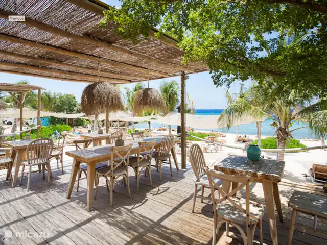 Vue sur la mer tropicale | Curaçao, Banda Ariba (est), Vista Royal - villa ASTUCE; La plage de Kokos est très attrayante et confortable
