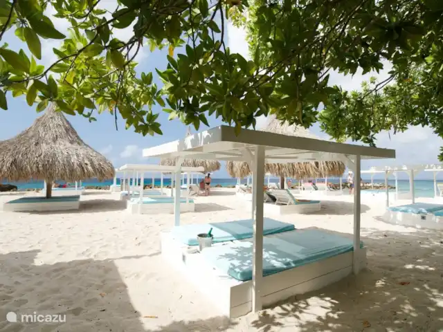 Vue sur la mer tropicale | Curaçao, Banda Ariba (est), Vista Royal - villa Les plages de Jan Thiel ne sont qu'à quelques minutes à pied....