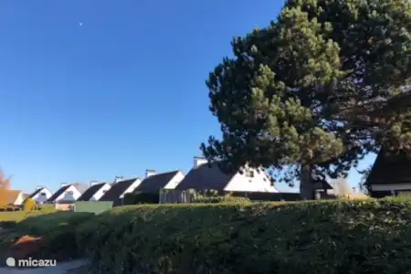 Vakantiehuis België, Belgische Kust, Oostduinkerke bungalow Prive huisje Sunparks Oostduinkerke