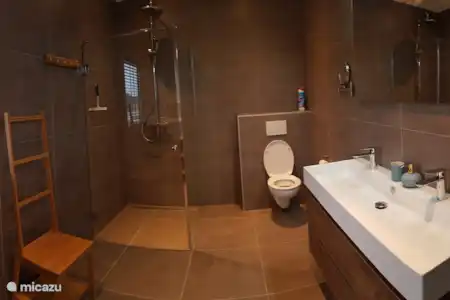 Vakantiehuis Nederland, Drenthe, Hoogeveen villa White Swan