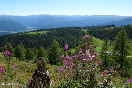 Grosseck-Speiereck hiking area