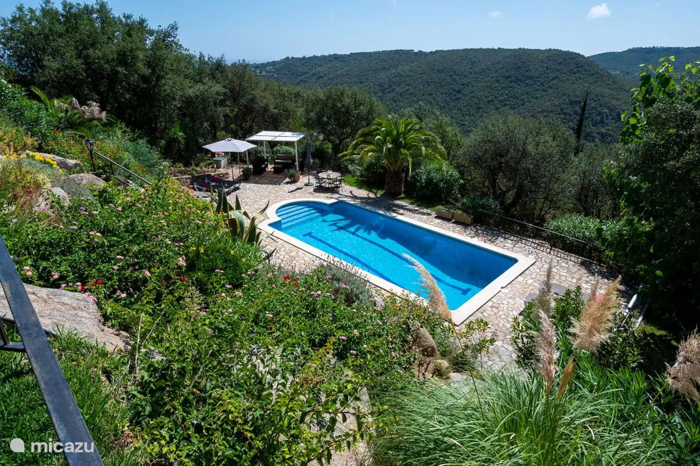 View of lush garden and pool