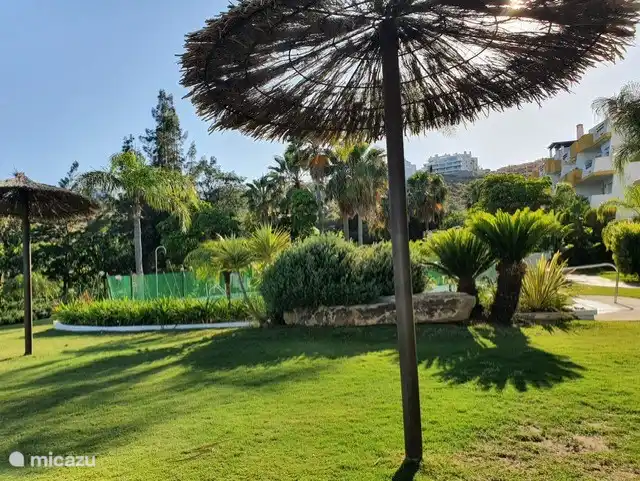 Vue depuis la petite piscine