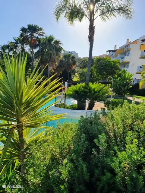 Vue depuis la petite piscine