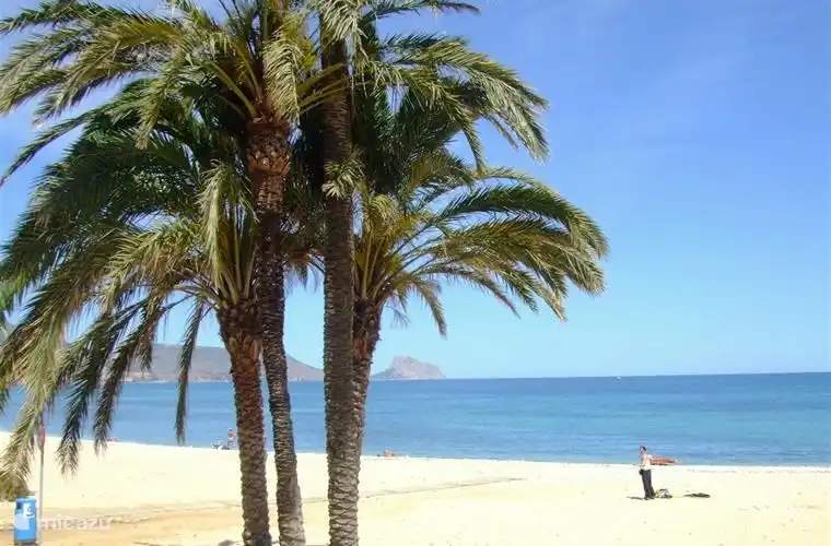 Altea a environ 5 km de plage de 'Cap Negret' au nord, 'La Roda' et 'Cap Blanc' au sud. Autour du port de plaisance se trouvent les plages de 'Pueblo Macarat'.  Pas les zones surpeuplées comme Benidorm et Calpe, mais des plages avec de superbes vues et une plage de sable et de galets.