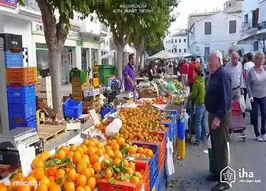 Chaque jour, il y a un marché quelque part sur la Costa Blanca.  Les fruits et légumes, les vêtements, les bijoux, les chaussures et parfois les plantes et les herbes sont abondants.  Dans un Rastro (marché aux puces), on trouve principalement des articles d’occasion ou des antiquités.  