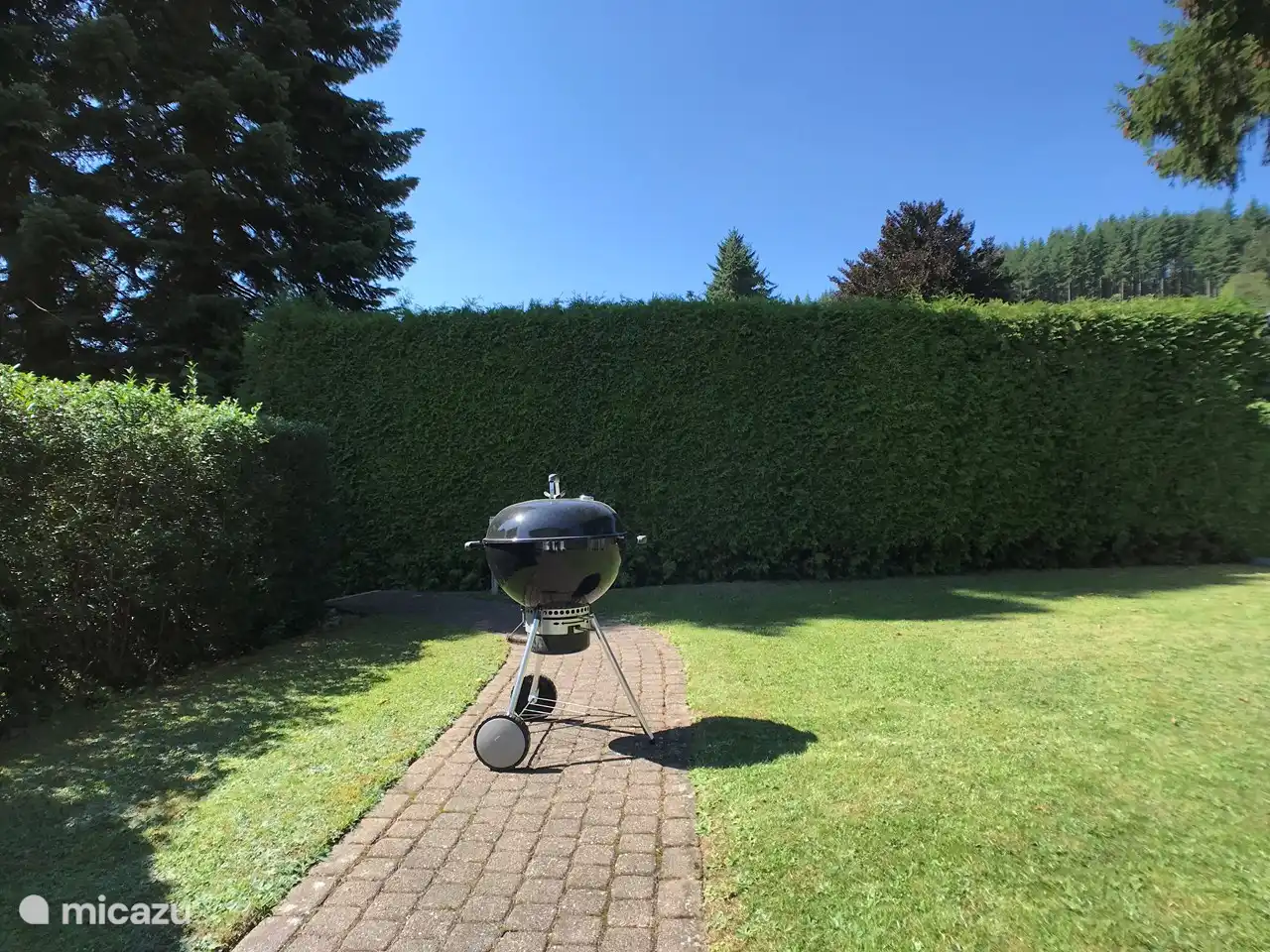 Profitez des grillades sur le Weber