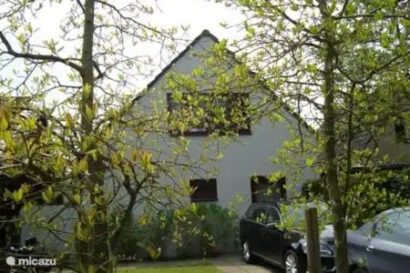 Vakantiehuis Nederland, Zeeland, Westenschouwen vakantiehuis Scalde Oort 56