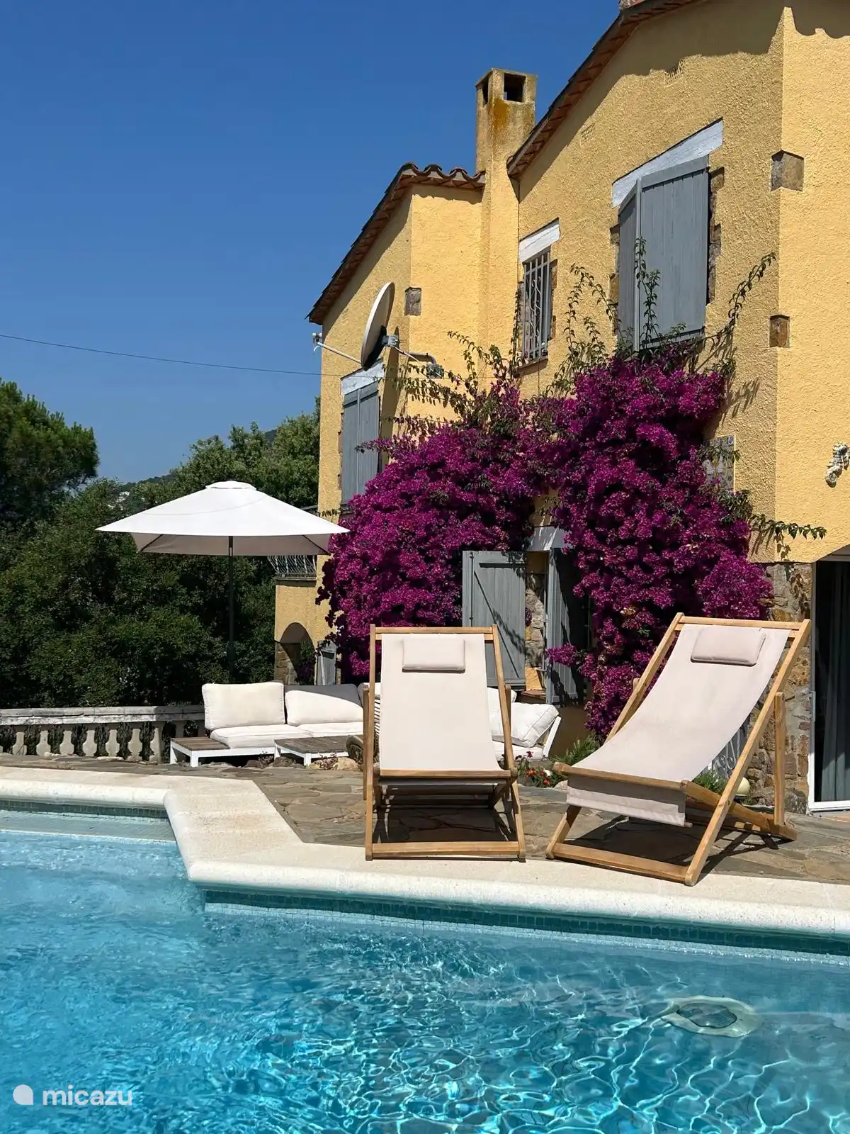 Blick auf den Garten vom Rand des Pools