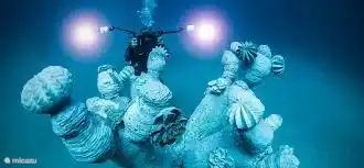 Lanzarote has 1 unique underwater museum. The owners can arrange this (diving) excurie for you.