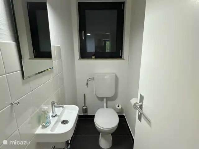 Ático Holgenbach Nat. Parque Eifel en Alemania, Eifel, Schleiden - apartamento Aseo de invitados