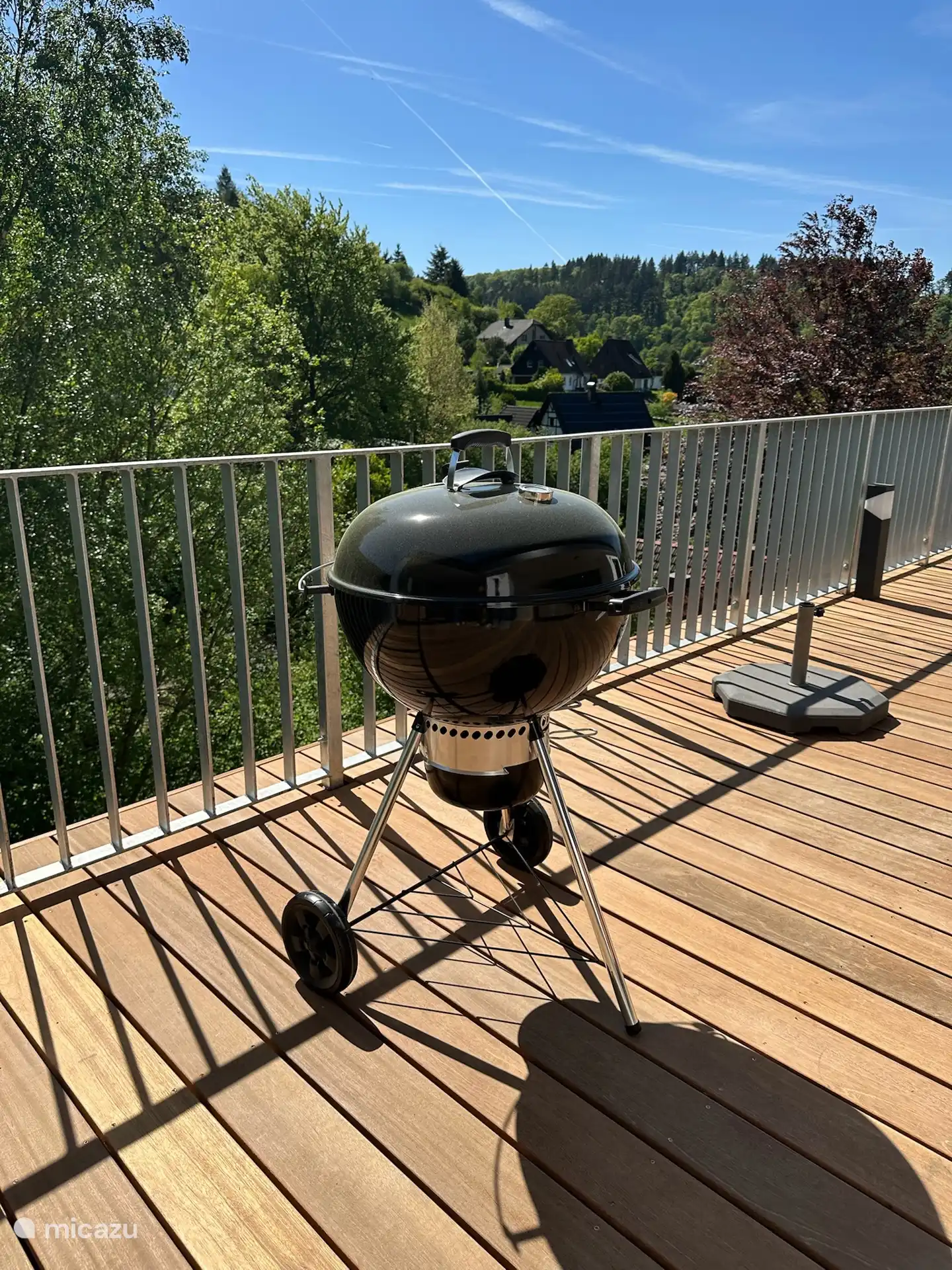 Weber BBQ