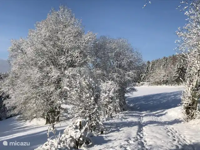 Ático Holgenbach Nat. Parque Eifel en Alemania, Eifel, Schleiden - apartamento Eifel de invierno