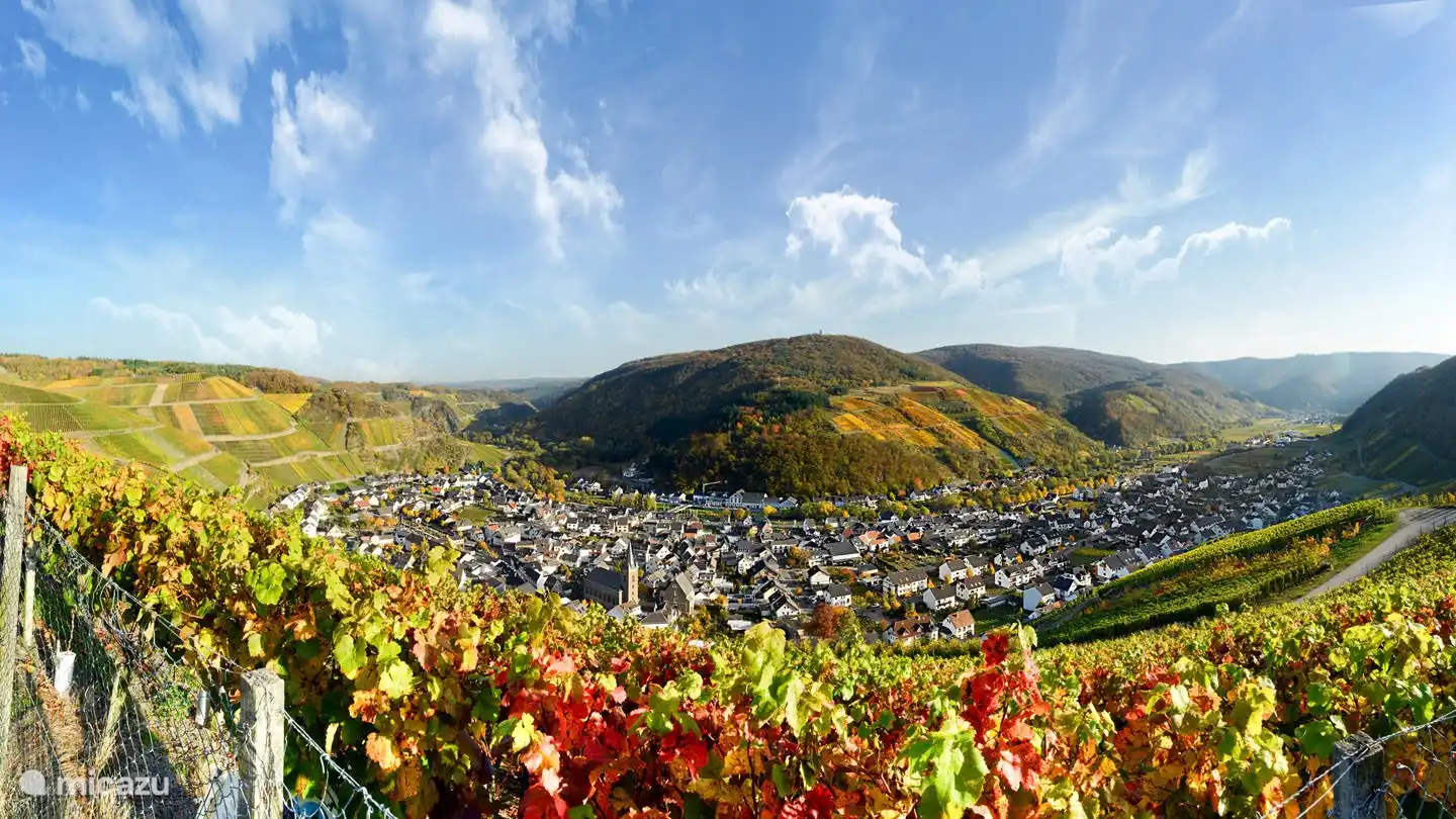 Rotweinwanderweg Ahrthal