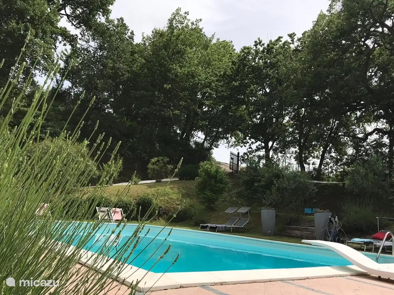 dans et autour de la piscine est l'endroit préféré des clients