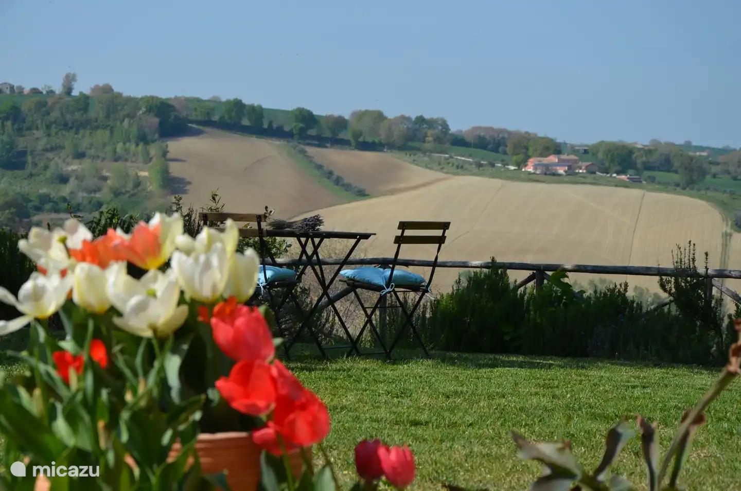 aussi en Italie il y a des tulipani