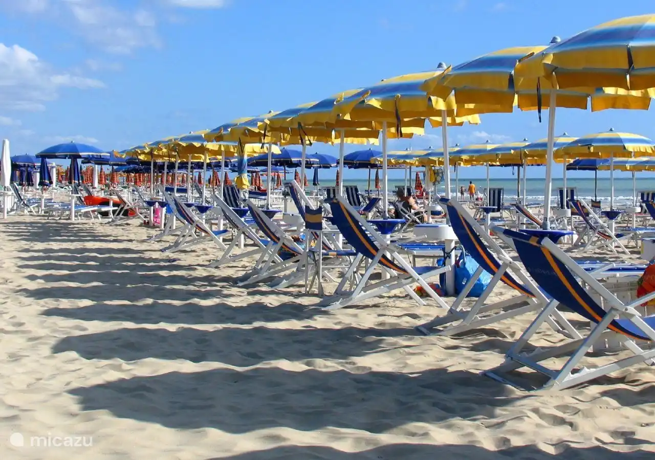 de belles plages avec parasols et transats pour les vrais amateurs de soleil, accessibles en 30 minutes