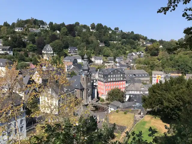 Villa Holgenbach Parc national de l'Eifel | Allemagne, Eifel, Schleiden - maison de vacances Monschau