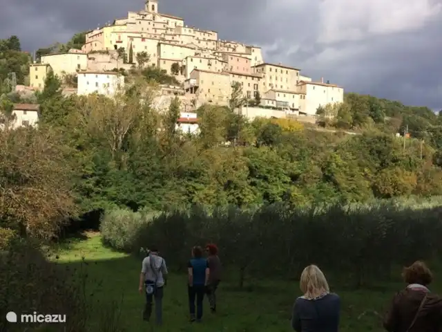 Location de Vacances Italie, Marche, San Lorenzo In Campo, maison de vacances - Maison Panorama Villes médiévales de la région