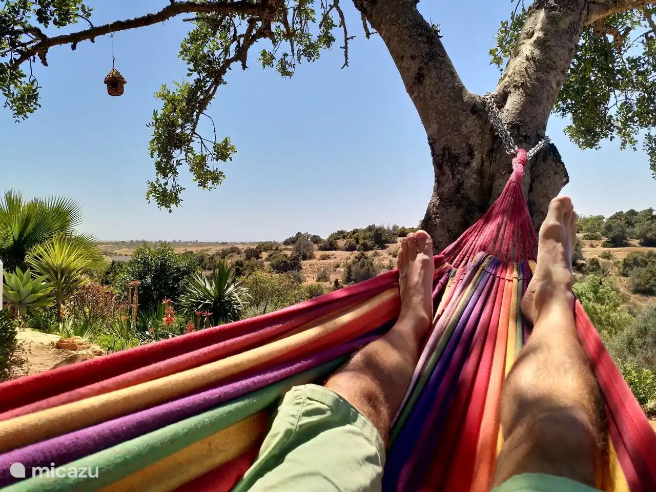 Détendez-vous dans le hamac de Casa Pura Vida