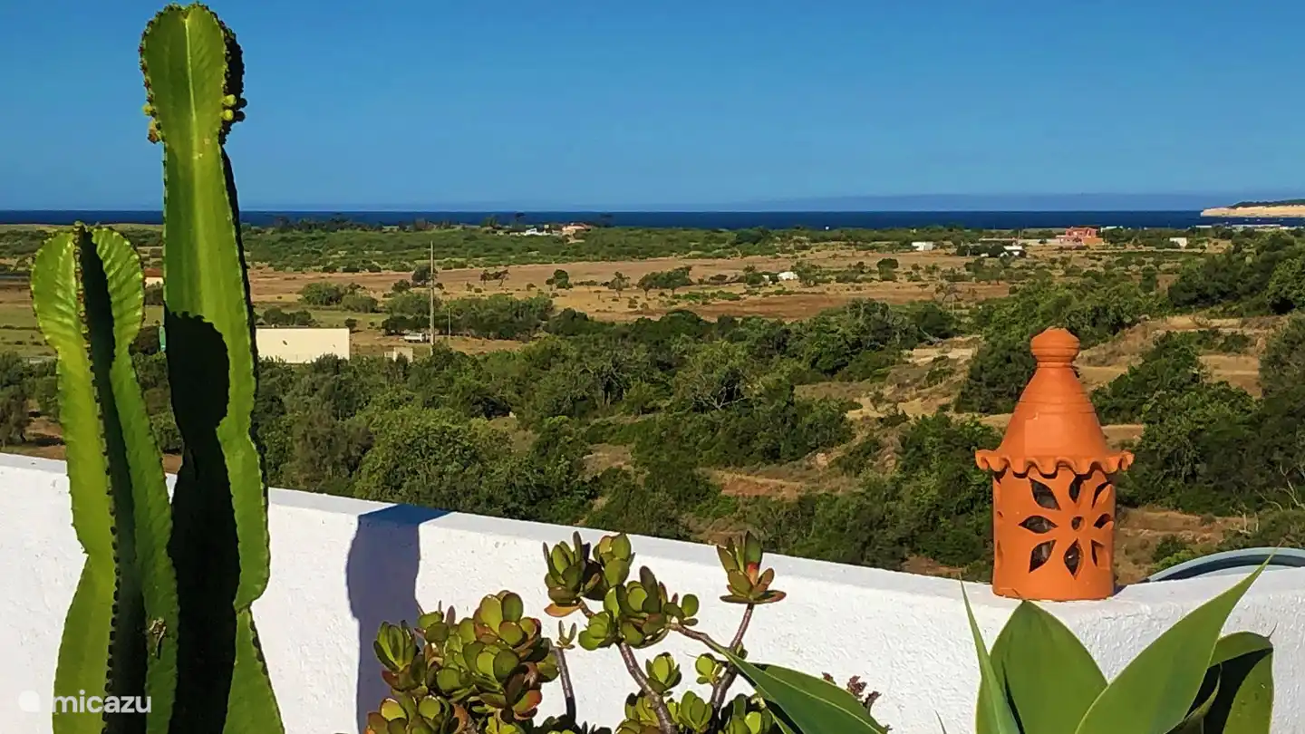 Détendez-vous sur le toit-terrasse