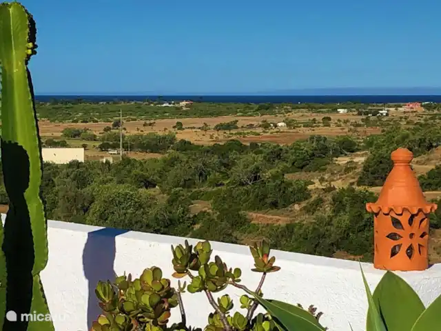 Casa Pura Vida, vue fantastique sur la mer | Portugal, Algarve, Guia - maison de vacances Détendez-vous sur le toit-terrasse