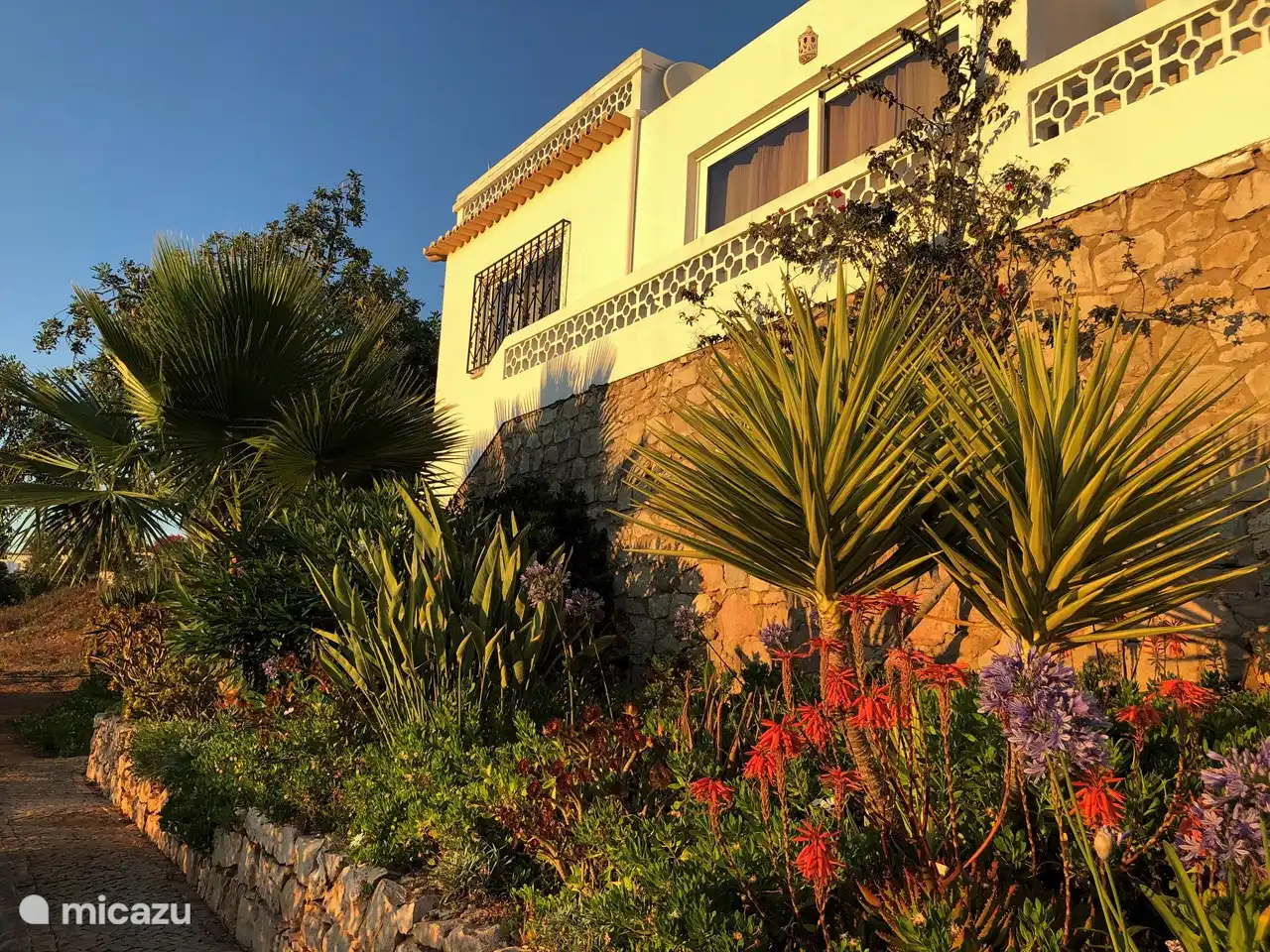 Casa Pura Vida sur la colline
