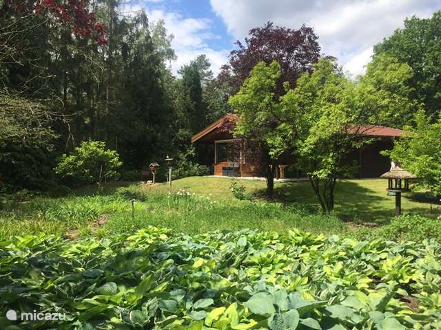 Holiday home in Germany, Lower Saxony, Uelsen - cabin / lodge De Marke
