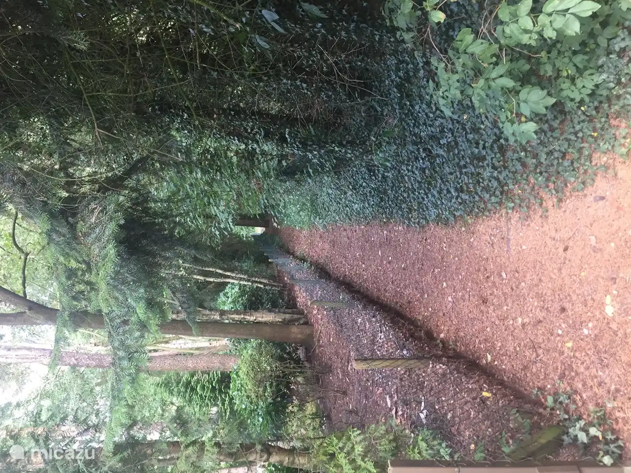 Belle promenade dans la nature.