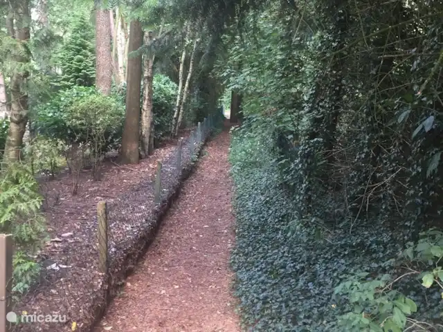 De Marke en Alemania, Baja Sajonia, Uelsen - cabaña de madera Bonito paseo en la naturaleza.