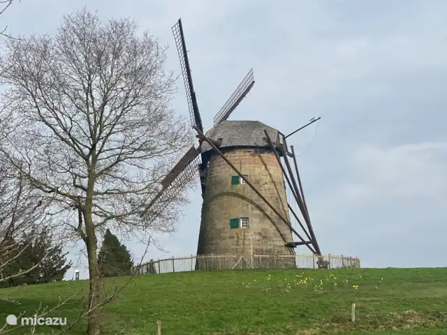 De Marke en Alemania, Baja Sajonia, Uelsen - cabaña de madera
