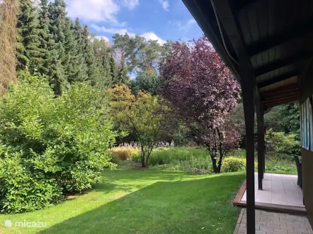 De Marke en Alemania, Baja Sajonia, Uelsen - cabaña de madera Una buena visión general del espacio alrededor de la casa.