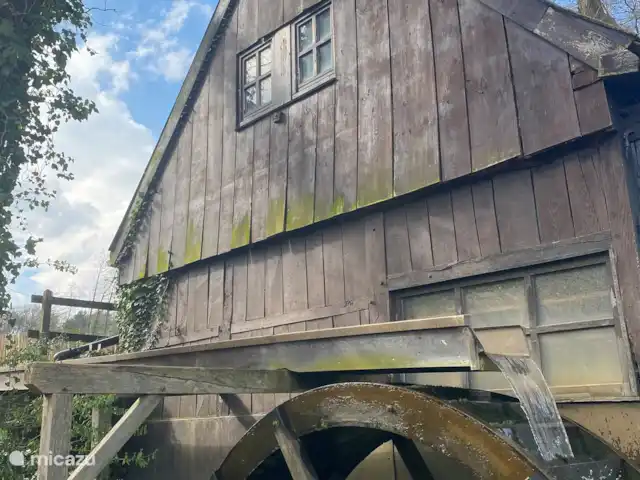 De Marke en Alemania, Baja Sajonia, Uelsen - cabaña de madera