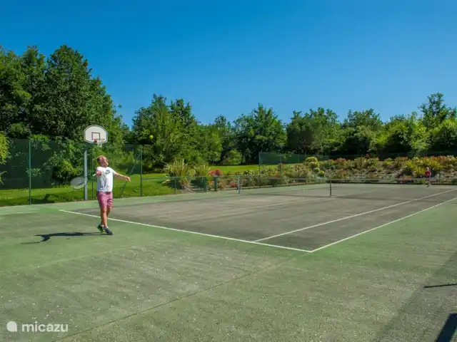 Location de Vacances France, Tarn-et-Garonne, Vigueron, studio - Escude Fleuri court de tennis