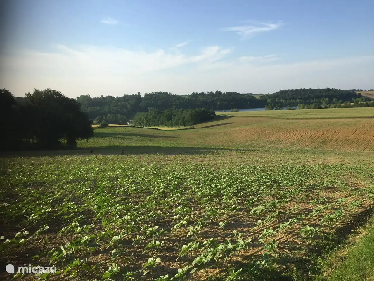 Uitzicht vanuit het park van Escudes