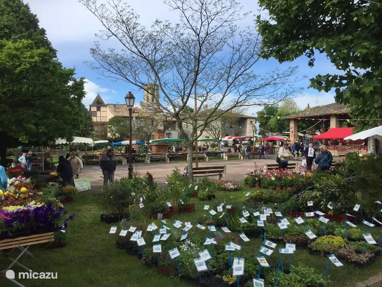 planten markt in Larazette
