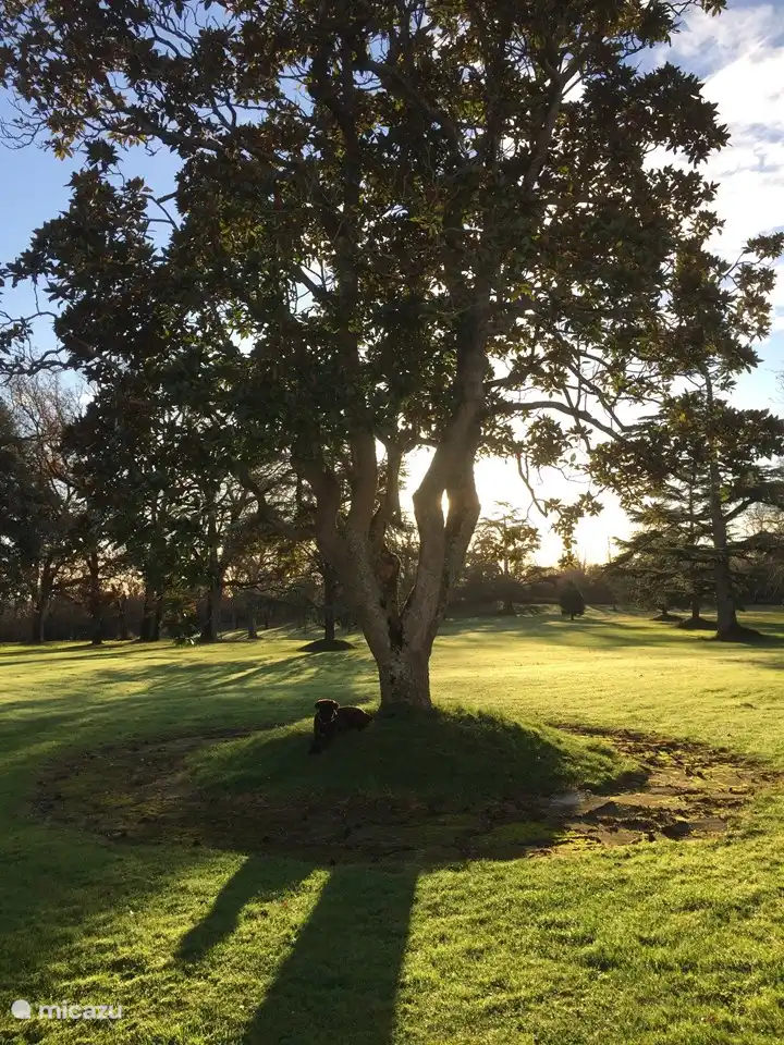 Bijzondere bomen in het park van Escudes