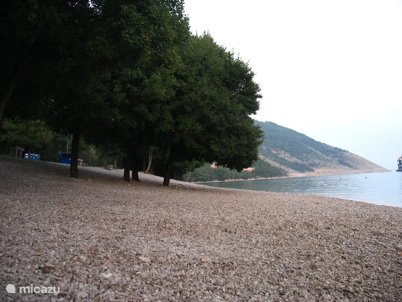 Sur la plage de Luka Plomin, vous pouvez vous asseoir sous les arbres !