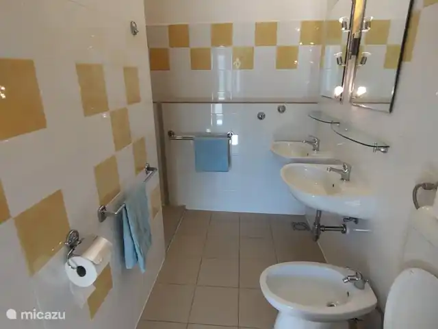 Fianona huren in Kroatië, Istrië, Labin - vakantiehuis Badkamer beneden met twee wastafels, inloopdouche, wc en bidet