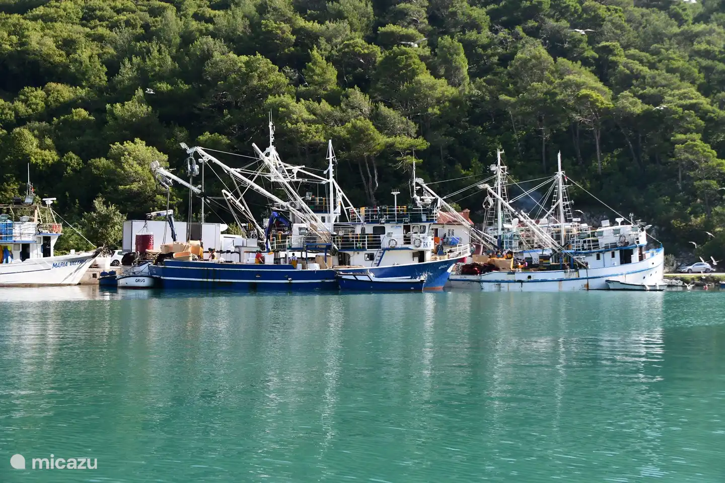 Fischereihafen Plomin Luka