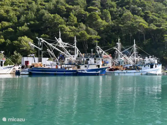 Fianona huren in Kroatië, Istrië, Labin - vakantiehuis Plomin Luka vissershaven