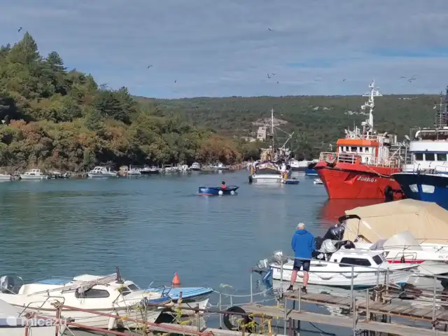 Fianona huren in Kroatië, Istrië, Labin - vakantiehuis Plomin Luka