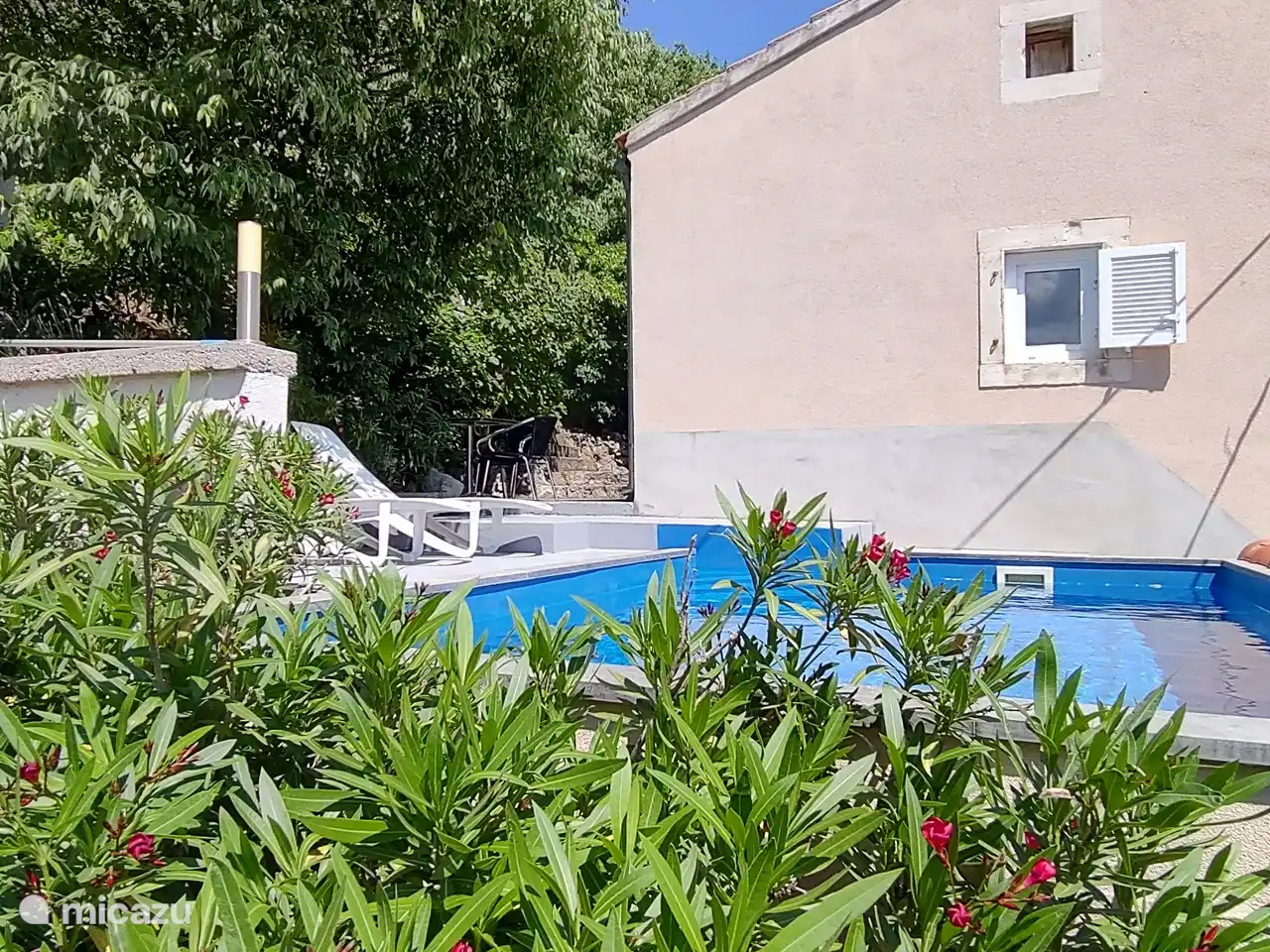 Schwimmbad umgeben von Oleandern