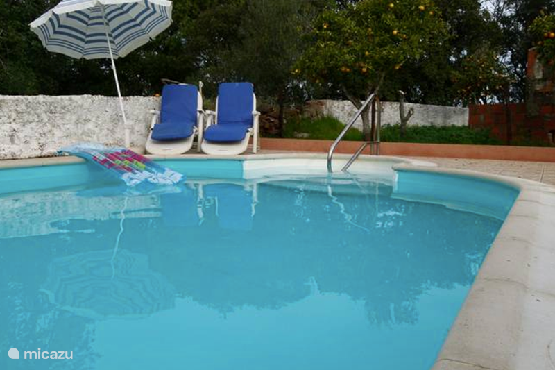 Vakantiehuis Portugal, Algarve, São Bartolomeu De Messines Villa O Cima do Mundo met prive zwembad