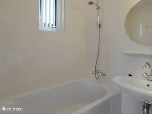 Location de Vacances Pays-Bas, Drenthe, Wezuperbrug, bungalow - Bungalow boisé Drenthe salle de bain de luxe au rez-de-chaussée avec baignoire et lavabo et toilettes séparées