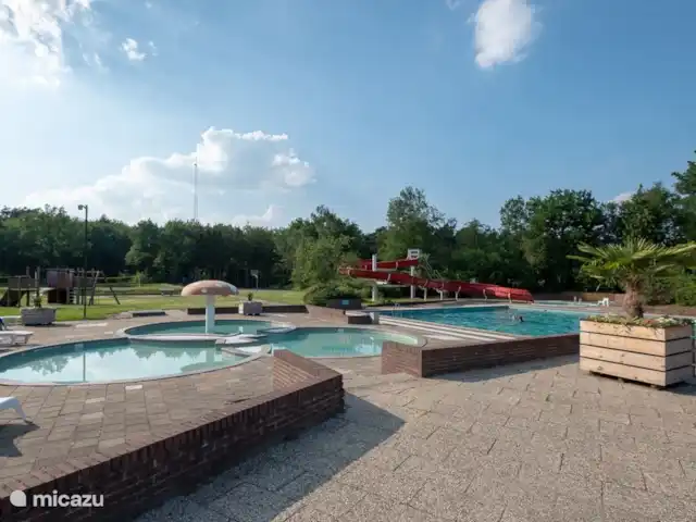 Location de Vacances Pays-Bas, Drenthe, Wezuperbrug, bungalow - Bungalow boisé Drenthe piscine extérieure