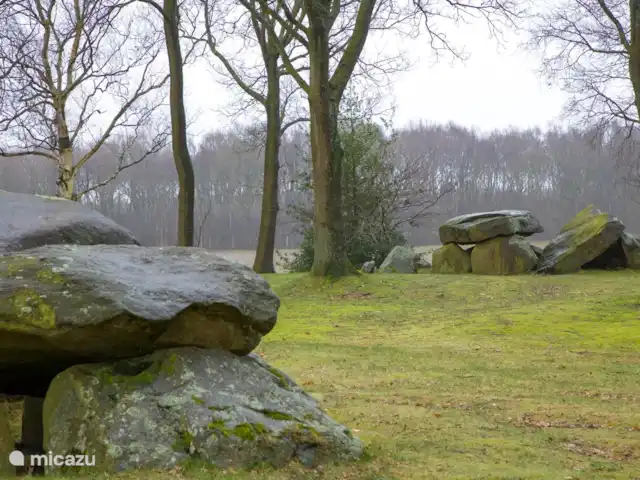 Location de Vacances Pays-Bas, Drenthe, Wezuperbrug, bungalow - Bungalow boisé Drenthe dolmens